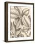 Tropical Connection I-Louis Van Houtte-Framed Art Print