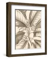 Tropical Connection II-Louis Van Houtte-Framed Art Print