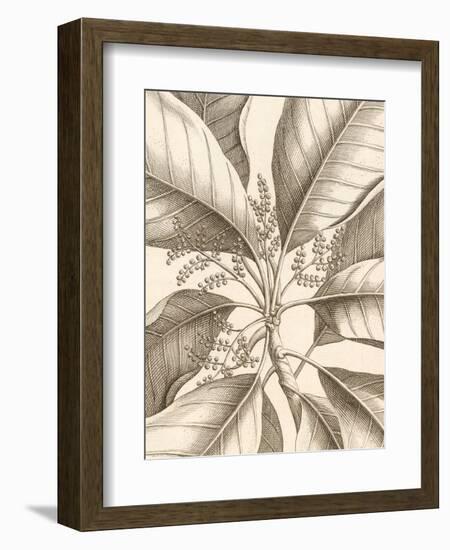 Tropical Connection II-Louis Van Houtte-Framed Art Print