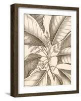 Tropical Connection II-Louis Van Houtte-Framed Art Print