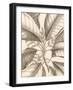 Tropical Connection II-Louis Van Houtte-Framed Art Print