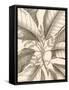 Tropical Connection II-Louis Van Houtte-Framed Stretched Canvas
