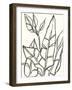 Tropical Contour III-June Erica Vess-Framed Art Print