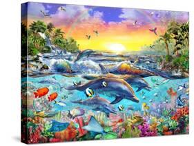 Tropical Cove-Adrian Chesterman-Stretched Canvas