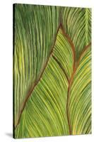 Tropical Crop II-Melissa Wang-Stretched Canvas