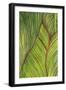 Tropical Crop II-Melissa Wang-Framed Art Print