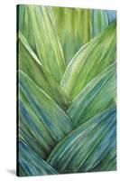 Tropical Crop IV-Melissa Wang-Stretched Canvas
