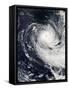 Tropical Cyclone Imelda over the Southern Indian Ocean-null-Framed Stretched Canvas