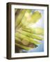 Tropical Daydream I-Emily Robinson-Framed Photographic Print