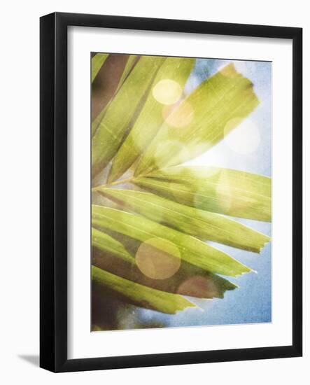 Tropical Daydream I-Emily Robinson-Framed Photographic Print