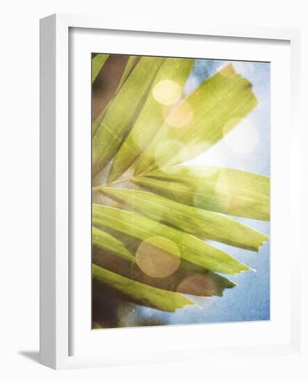 Tropical Daydream I-Emily Robinson-Framed Photographic Print