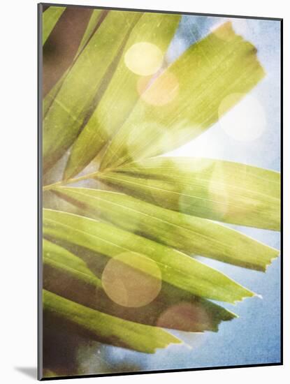 Tropical Daydream I-Emily Robinson-Mounted Photographic Print