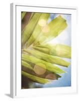 Tropical Daydream I-Emily Robinson-Framed Photographic Print