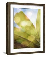 Tropical Daydream II-Emily Robinson-Framed Photographic Print