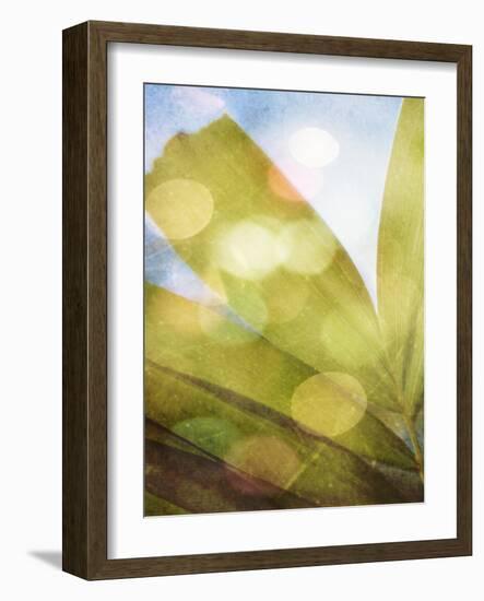 Tropical Daydream II-Emily Robinson-Framed Photographic Print