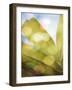 Tropical Daydream II-Emily Robinson-Framed Photographic Print