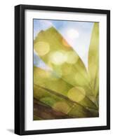 Tropical Daydream II-Emily Robinson-Framed Photographic Print