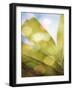 Tropical Daydream II-Emily Robinson-Framed Photographic Print