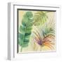 Tropical Delight I-Albena Hristova-Framed Art Print