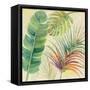 Tropical Delight I-Albena Hristova-Framed Stretched Canvas