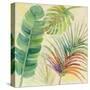 Tropical Delight I-Albena Hristova-Stretched Canvas