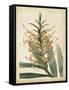 Tropical Delight I-Edmonston & Douglas-Framed Stretched Canvas