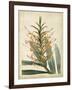 Tropical Delight I-Edmonston & Douglas-Framed Art Print