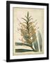 Tropical Delight I-Edmonston & Douglas-Framed Art Print