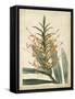 Tropical Delight I-Edmonston & Douglas-Framed Stretched Canvas