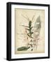 Tropical Delight II-Edmonston & Douglas-Framed Art Print