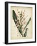 Tropical Delight III-Edmonston & Douglas-Framed Art Print