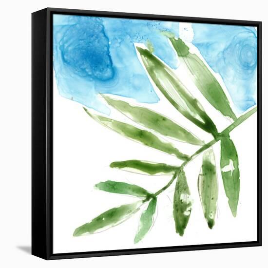 Tropical Display I-Jennifer Goldberger-Framed Stretched Canvas