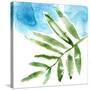 Tropical Display I-Jennifer Goldberger-Stretched Canvas