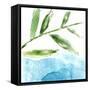 Tropical Display IX-Jennifer Goldberger-Framed Stretched Canvas