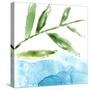 Tropical Display IX-Jennifer Goldberger-Stretched Canvas