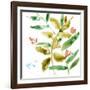 Tropical Display V-Jennifer Goldberger-Framed Art Print