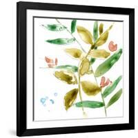 Tropical Display V-Jennifer Goldberger-Framed Art Print