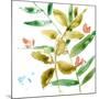 Tropical Display V-Jennifer Goldberger-Mounted Art Print