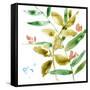 Tropical Display V-Jennifer Goldberger-Framed Stretched Canvas