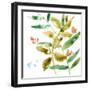 Tropical Display V-Jennifer Goldberger-Framed Art Print