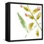 Tropical Display VIII-Jennifer Goldberger-Framed Stretched Canvas