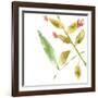 Tropical Display VIII-Jennifer Goldberger-Framed Art Print