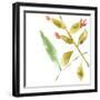 Tropical Display VIII-Jennifer Goldberger-Framed Art Print