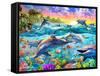 Tropical Dolphins-Adrian Chesterman-Framed Stretched Canvas