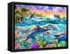 Tropical Dolphins-Adrian Chesterman-Framed Stretched Canvas