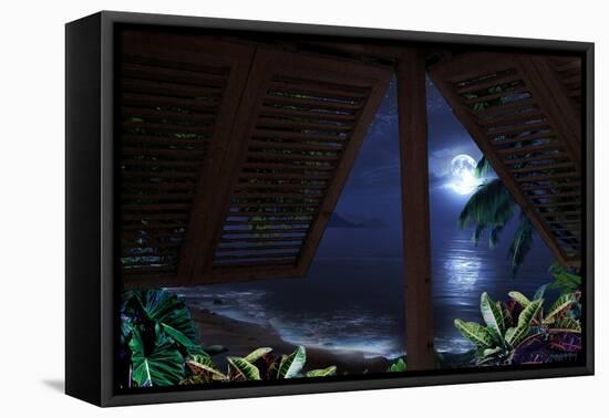 Tropical Dream Moon View-Murray Henderson-Framed Stretched Canvas