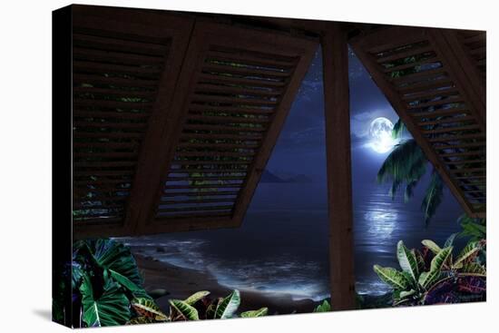 Tropical Dream Moon View-Murray Henderson-Stretched Canvas