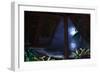 Tropical Dream Moon View-Murray Henderson-Framed Giclee Print