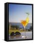 Tropical Drink at Hotel Cardoso, Maputo, Mozambique-Ian Trower-Framed Stretched Canvas