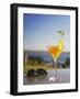 Tropical Drink at Hotel Cardoso, Maputo, Mozambique-Ian Trower-Framed Photographic Print